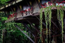 samauma hotel