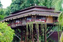 samauma hotel