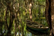 Floresta Nacional de Tapajós...