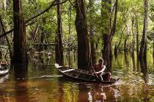 Floresta Nacional de Tapajós...