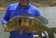 Rio Araguaia/Tocantins...