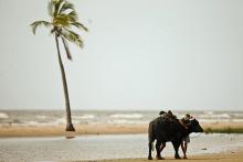 praia do pesqueiro...