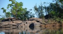 Rio Araguaia/Tocantins...