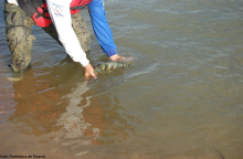 Rio Araguaia/Tocantins...
